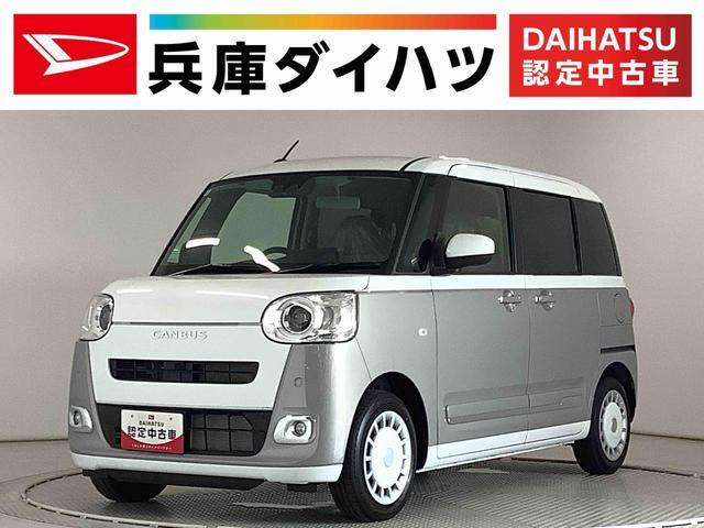 ムーヴキャンバス  ストライプス G