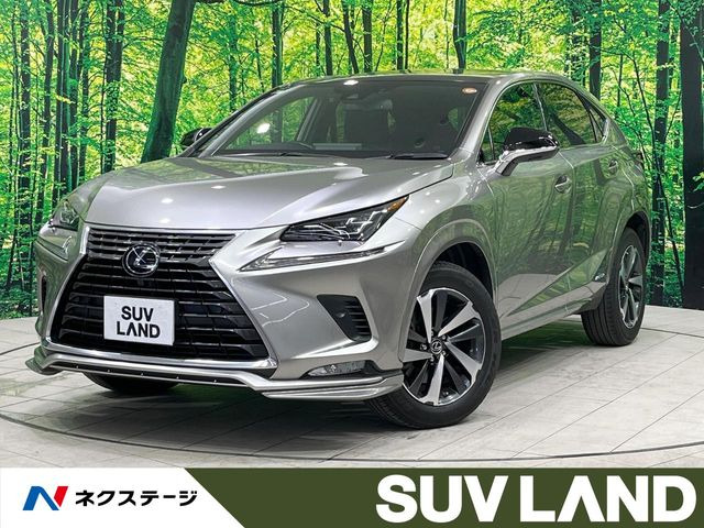 NX 300h スパイス&シック 