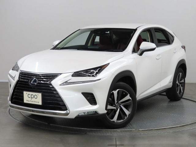 NX 300h バージョンL 