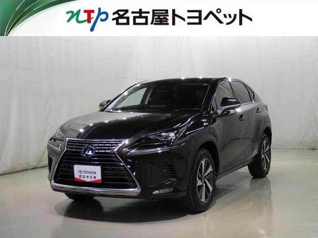 NX 300h Iパッケージ 