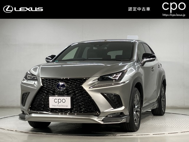 NX 300h Fスポーツ 