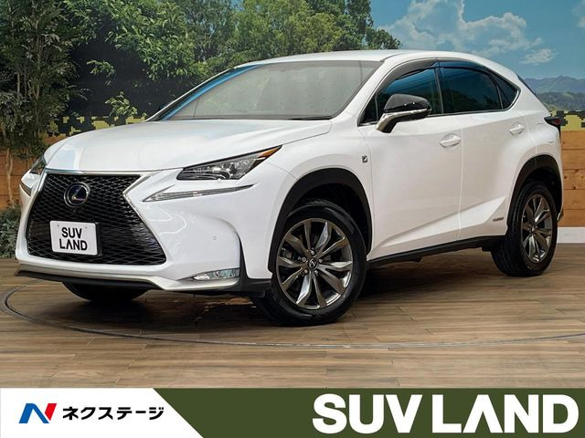 NX 300h Fスポーツ 