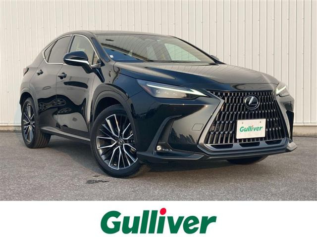 NX 250 バージョンL 本革シート サンルーフ