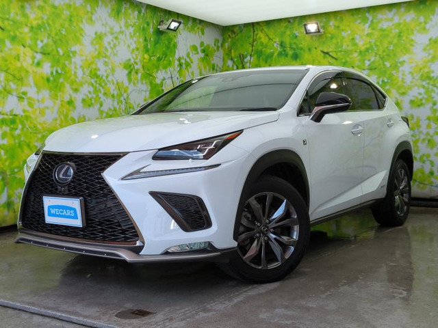NX 300h Fスポーツ 