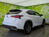 NX 300h Fスポーツ 