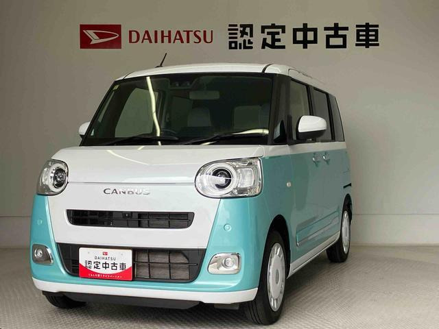 ムーヴキャンバス  ストライプス G