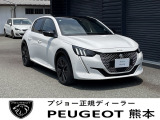 e-208 GT 