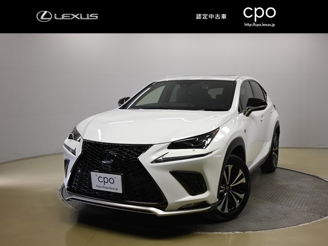 NX 300h Fスポーツ 