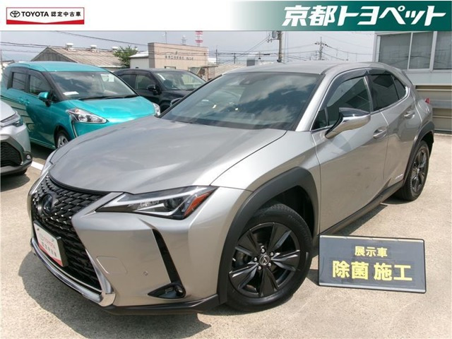 UX250hブラウン エディション
