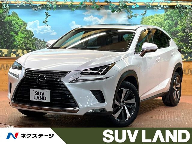 NX 200t Iパッケージ 
