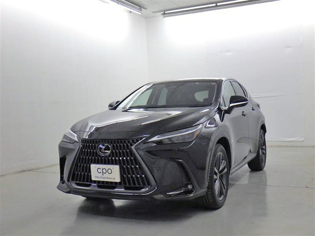 NX 250 バージョンL NX 250 バージョンL