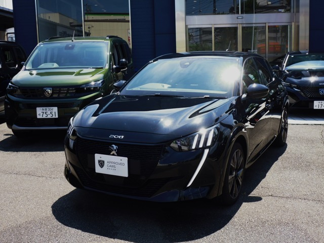 e-208 GT 