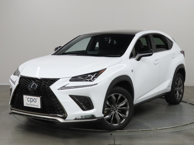NX 300h Fスポーツ 