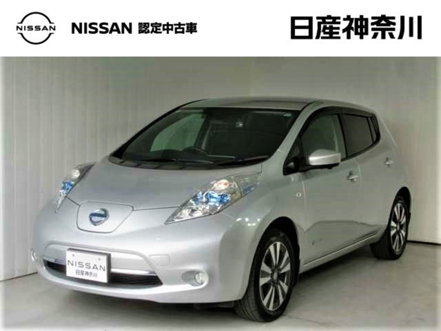 リーフ30kWh G