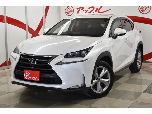 NX 200t バージョンL 4WD 