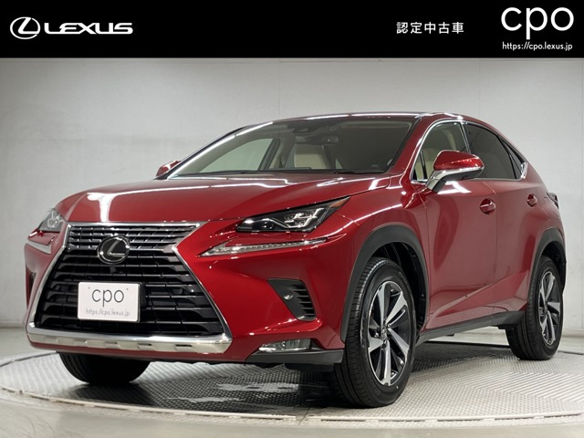 NX 300 Iパッケージ 