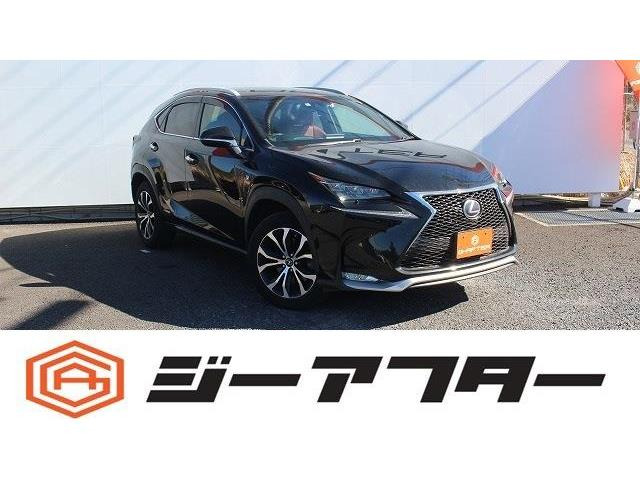 NX 300h Fスポーツ ナビTV3眼LED衝突軽減OP18AW赤革シート