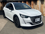 e-208 GT 