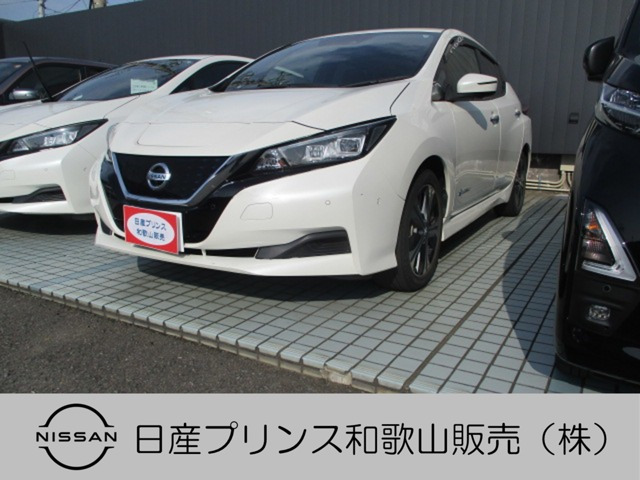 リーフ X 