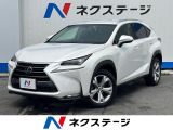 沖縄県内での販売・登録が条件※宮古島除く