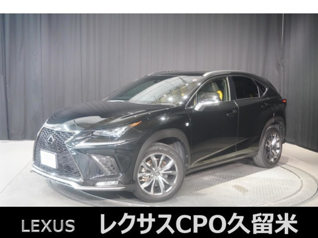 NX 300 Fスポーツ 