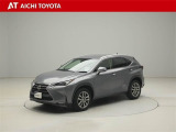 NX 200t Iパッケージ 