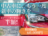 キャプチャー イーテック フルハイブリッド レザーパック 