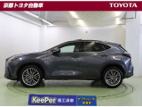 NX 250 バージョンL NX 250 バージョンL