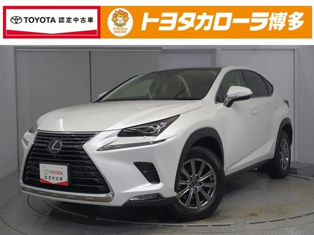 NX 300 Iパッケージ 