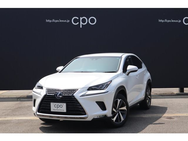 NX 300h Iパッケージ 