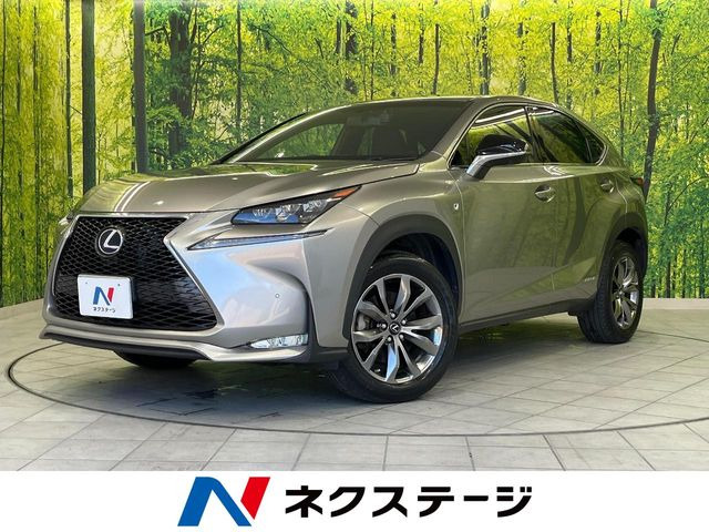 NX 300h Fスポーツ 