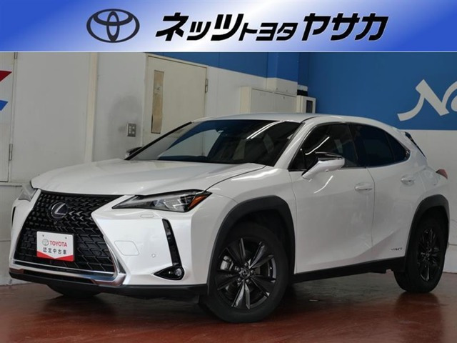 UX250hブラウン エディション