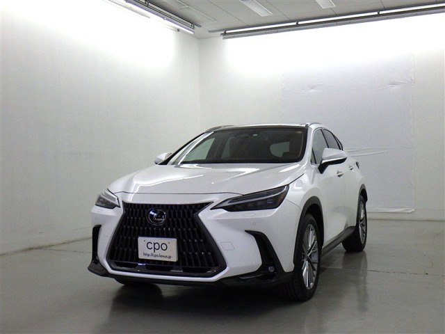 NX 250 バージョンL NX 250 バージョンL