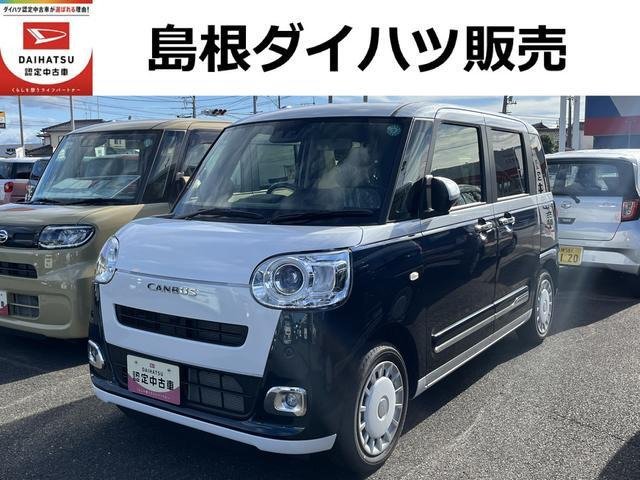 ムーヴキャンバス  ストライプス G