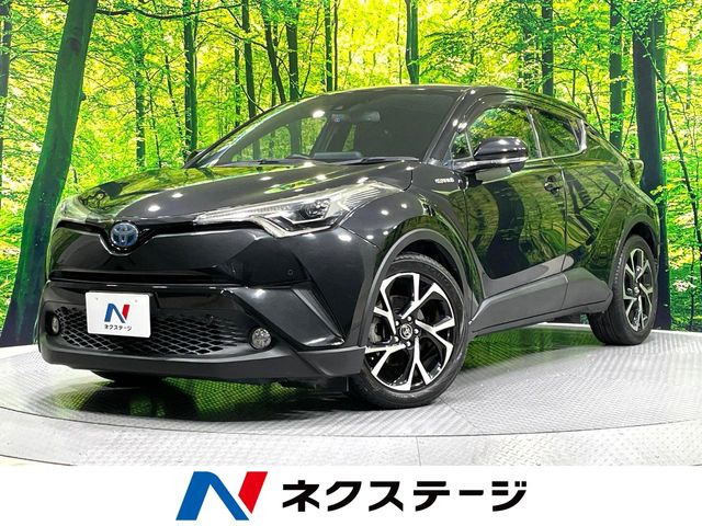 C-HR  G