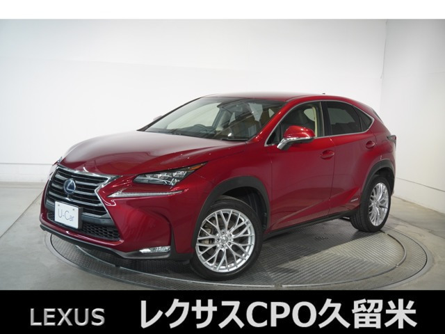 NX 300h Iパッケージ 