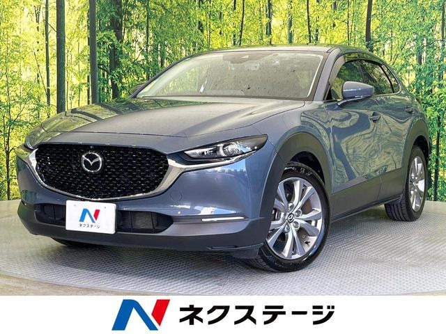 CX-30 2.0 20S プロアクティブ ツーリングセレクション 