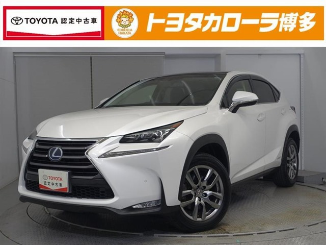NX 300h Iパッケージ 