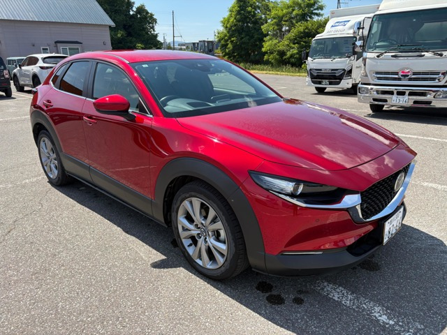 CX-302.0 20S 4WD