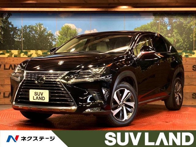 NX 200t Iパッケージ 