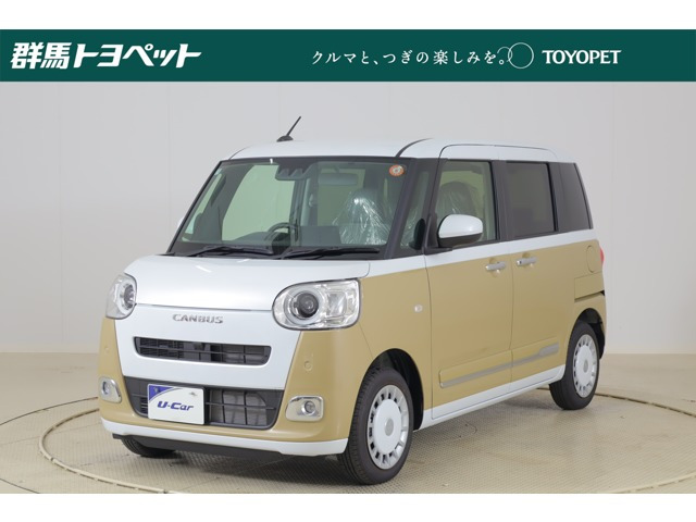 ムーヴキャンバス  ストライプス G