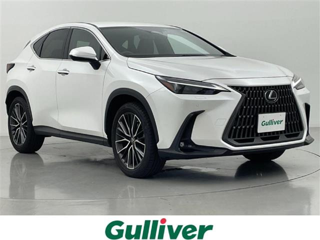 NX 250 本革シート 修復歴無し