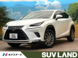 セーフティシステム 純正10型ナビ ブラインドスポットモニター