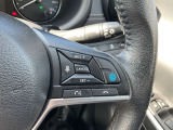 単一斜車自動走行プロパイロッドです。これで遠出もラクラクドライブ♪優秀な副操縦士です。