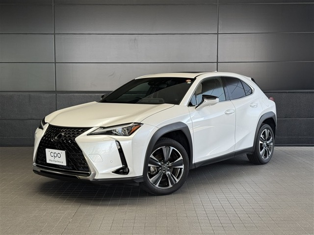 UX 250h バージョンC 