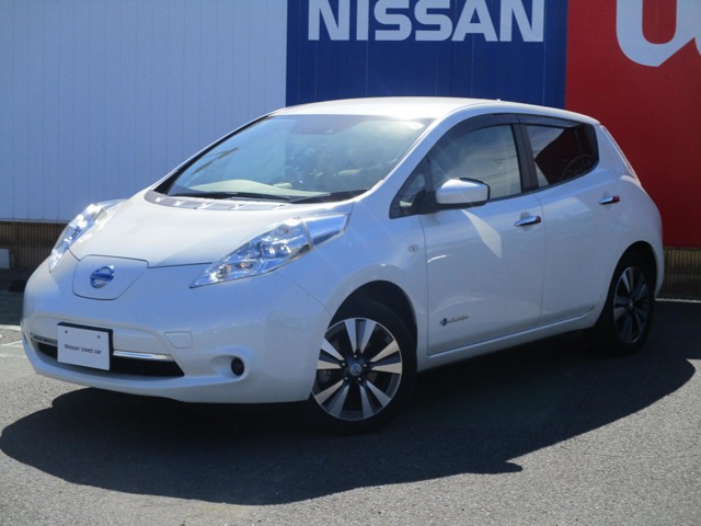 リーフ30kWh X サンクス エディション