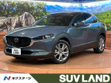 衝突被害軽減システム レーダークルーズ 禁煙車 電動リアゲート ETC
