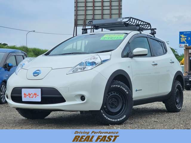 リーフ30kWh X