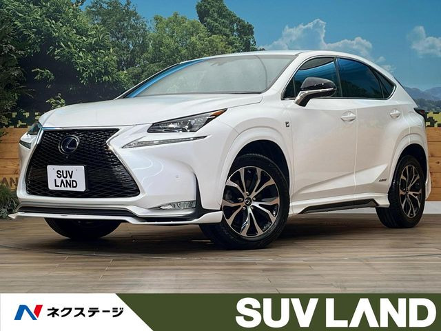 NX 300h Fスポーツ 
