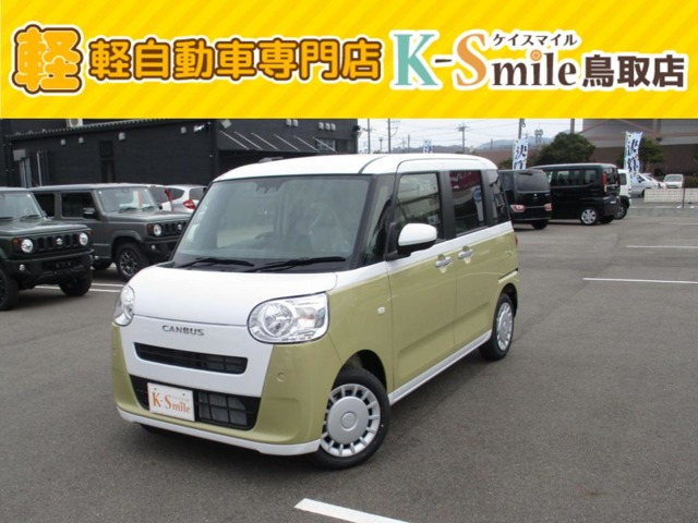 ムーヴキャンバス  ストライプス X